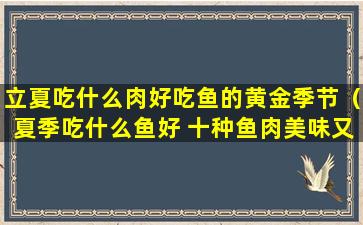 立夏吃什么肉好吃鱼的黄金季节（夏季吃什么鱼好 十种鱼肉美味又营养）